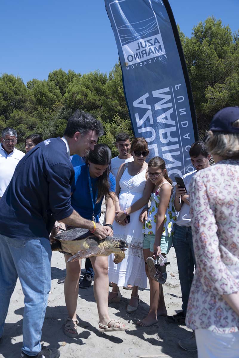 FAM_CampañaTortugas12