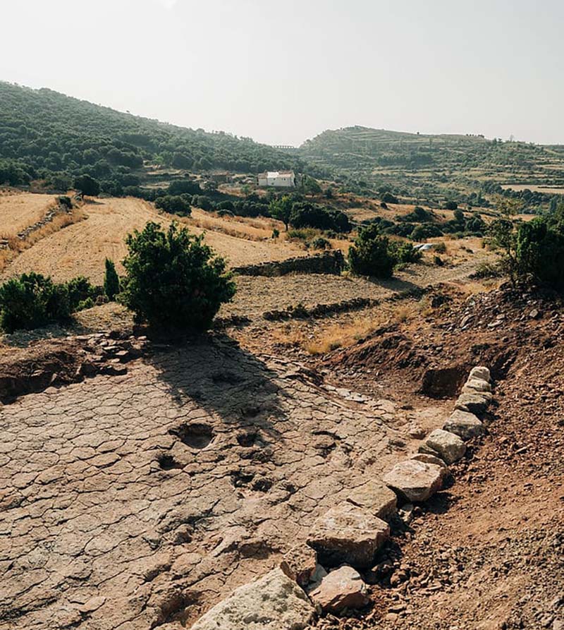 MORELLA DINOSAURES JACIMENT ROMEU